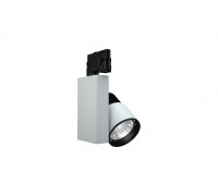 LEON/T LED 53 W D55 4000K