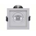 RADO 07 WH D45 4000K (with driver)