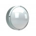 DAMIN NBT 21 F226 silver