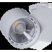 TIDY T 37 W D30 4000K CRI90 (CREE/SEAFOOD)