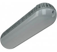 OD LED 12 MS 5000K